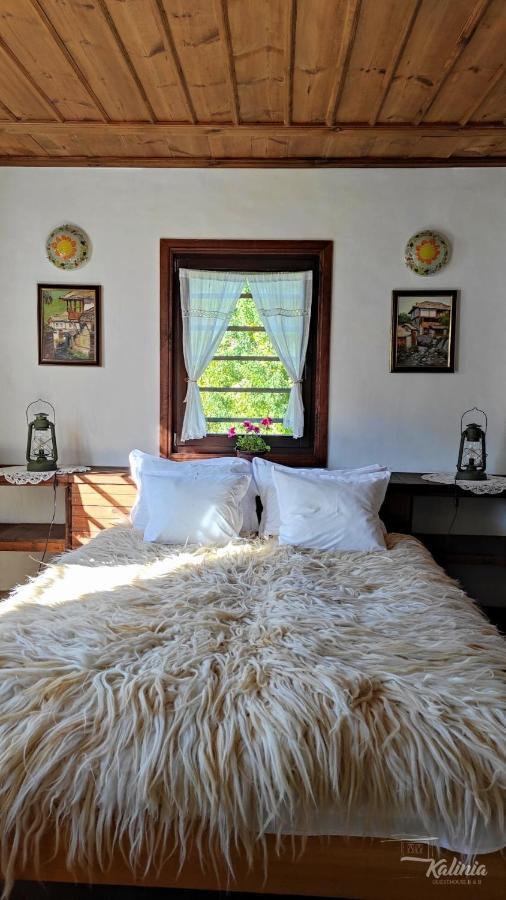 Kalinia Guesthouse B&B โกวาเชวิตซา ภายนอก รูปภาพ