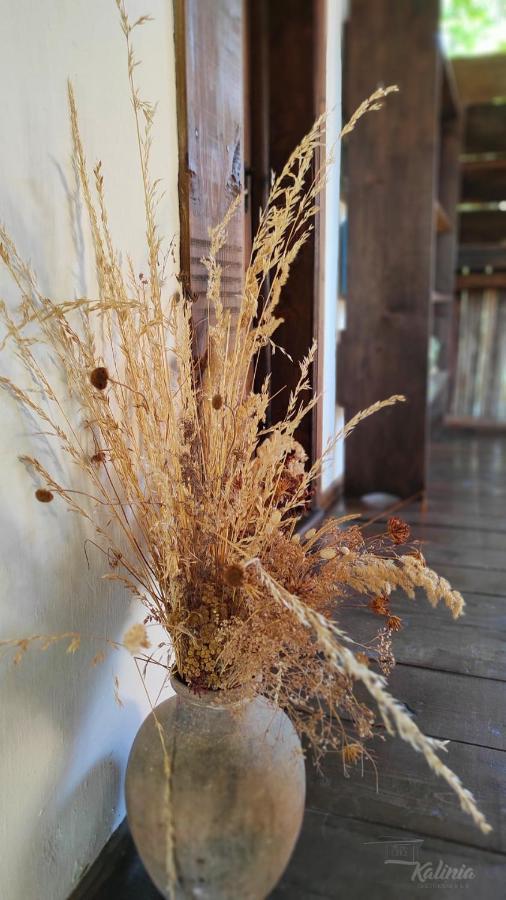 Kalinia Guesthouse B&B โกวาเชวิตซา ภายนอก รูปภาพ