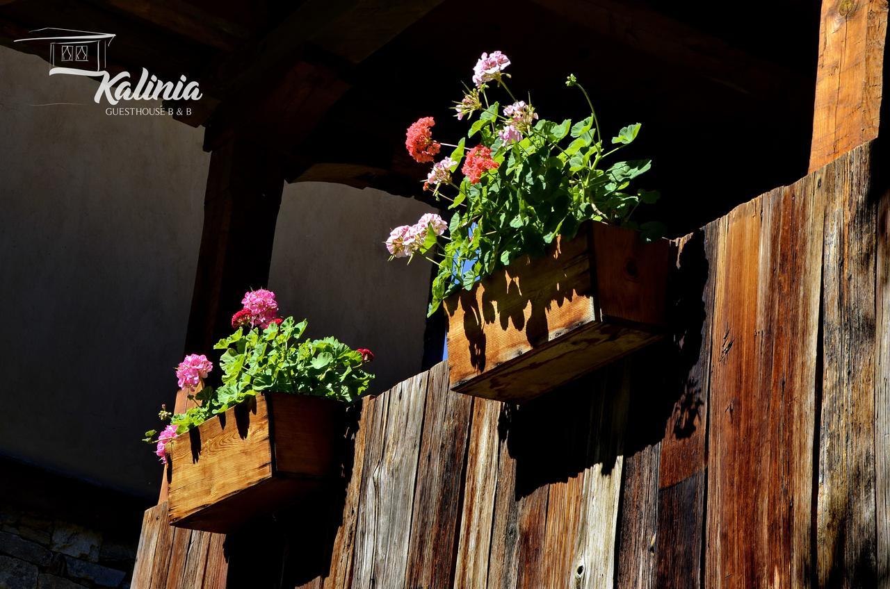 Kalinia Guesthouse B&B โกวาเชวิตซา ภายนอก รูปภาพ