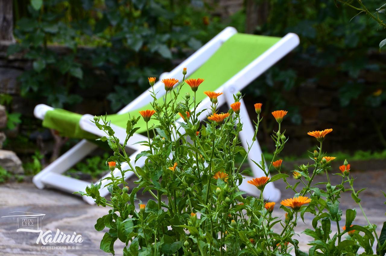 Kalinia Guesthouse B&B โกวาเชวิตซา ภายนอก รูปภาพ