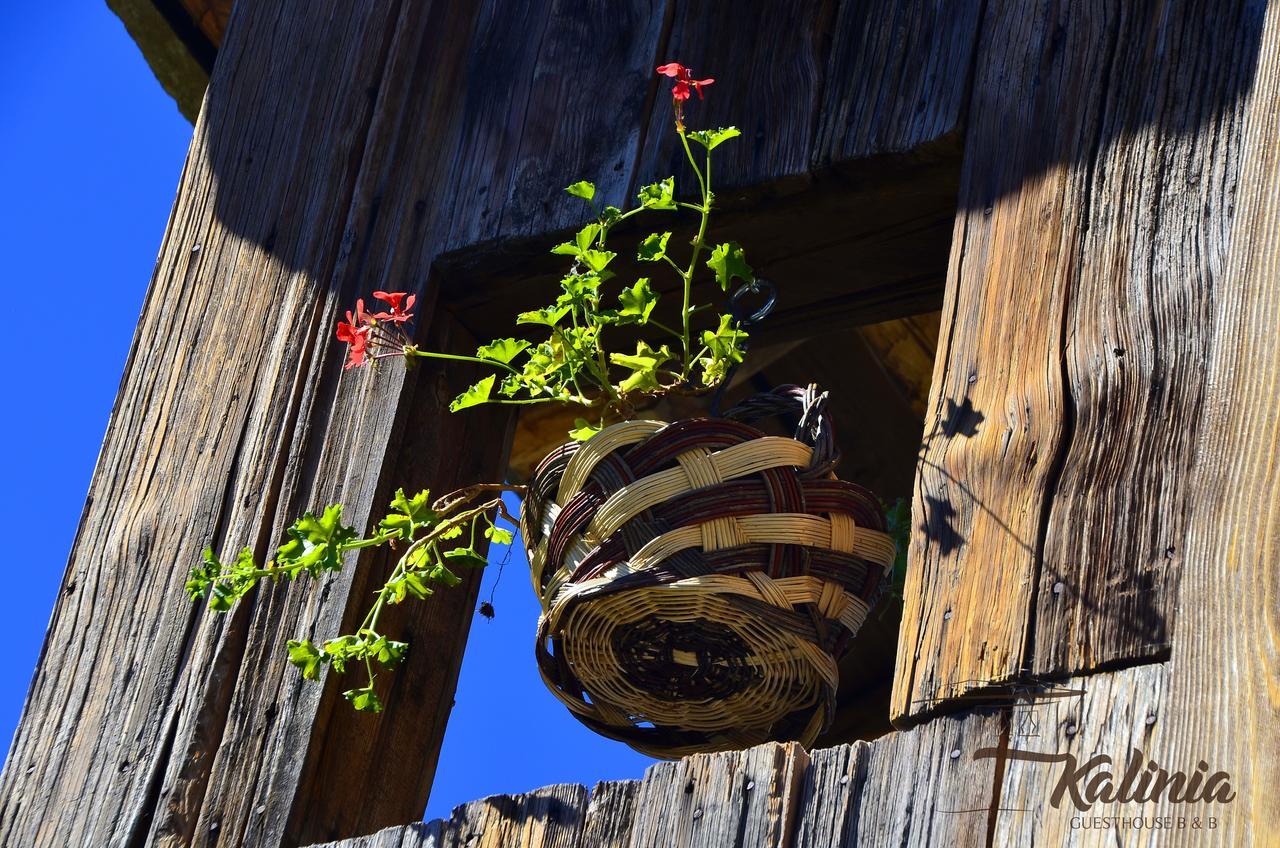 Kalinia Guesthouse B&B โกวาเชวิตซา ภายนอก รูปภาพ