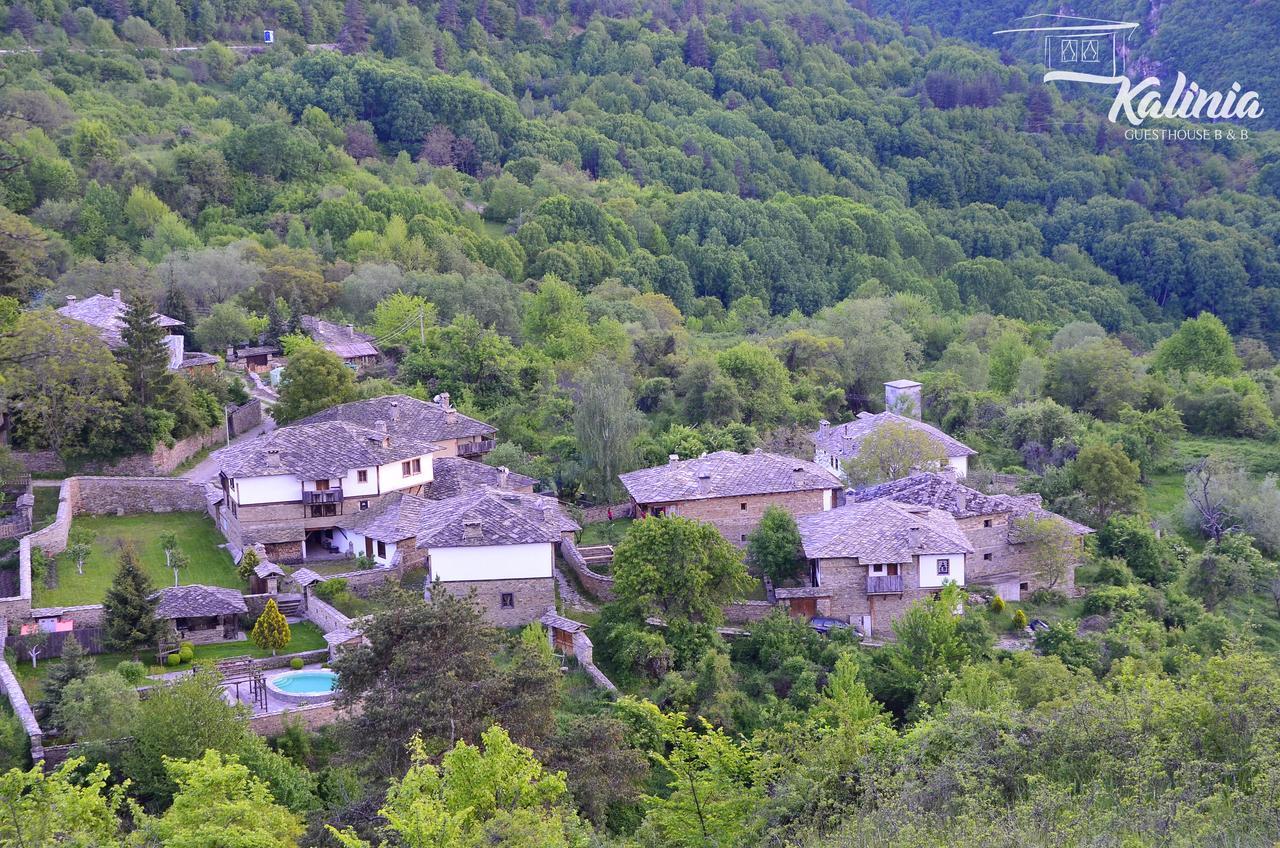 Kalinia Guesthouse B&B โกวาเชวิตซา ภายนอก รูปภาพ