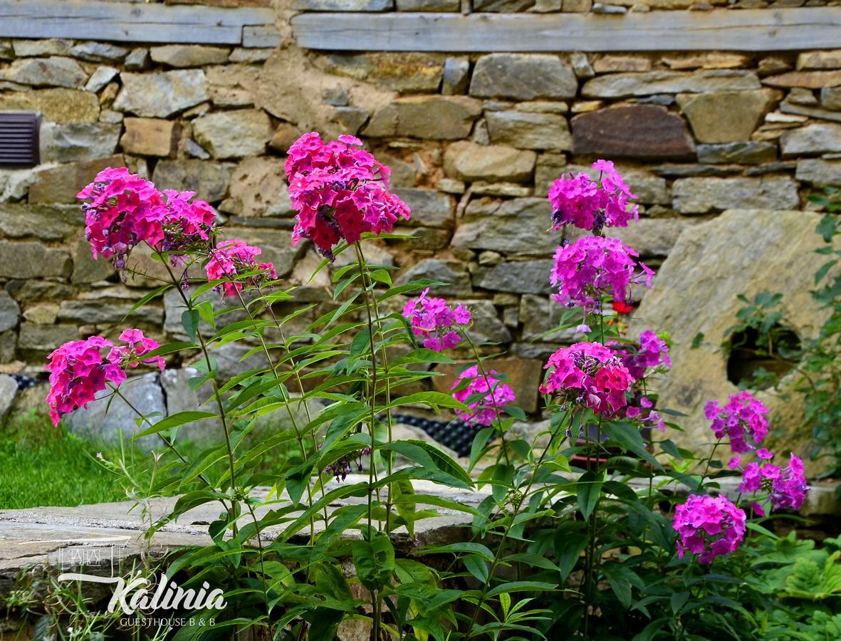 Kalinia Guesthouse B&B โกวาเชวิตซา ภายนอก รูปภาพ