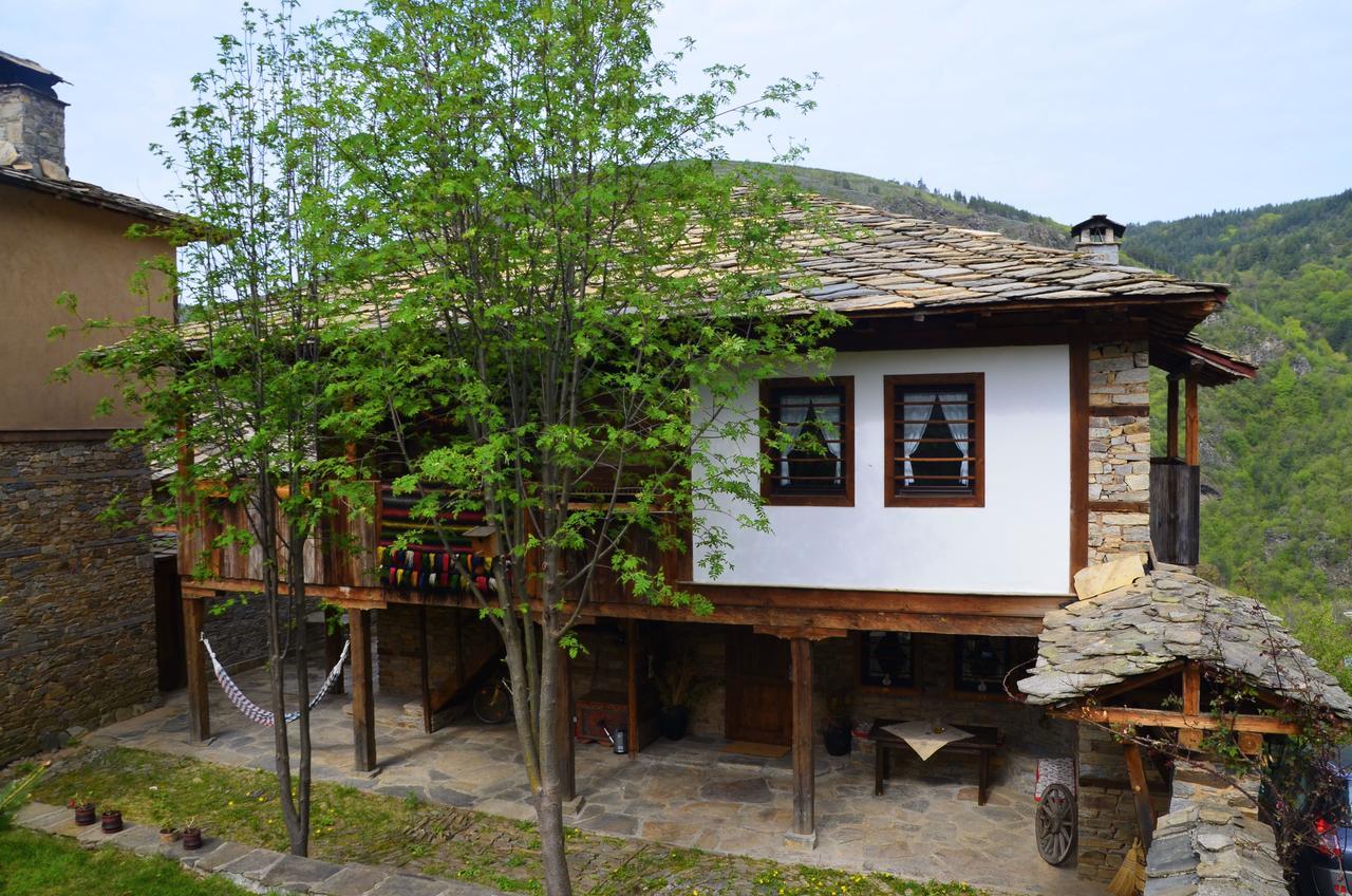 Kalinia Guesthouse B&B โกวาเชวิตซา ภายนอก รูปภาพ