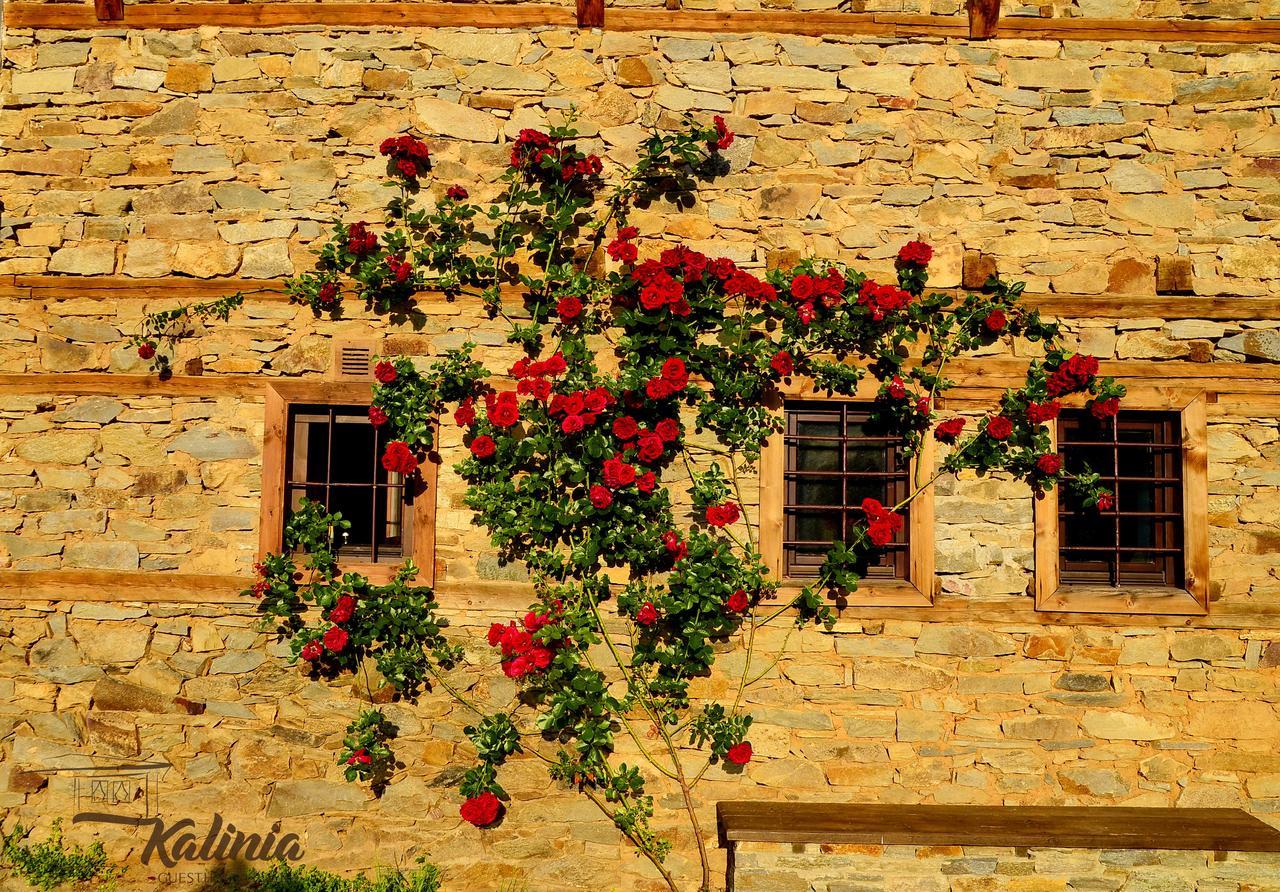 Kalinia Guesthouse B&B โกวาเชวิตซา ภายนอก รูปภาพ