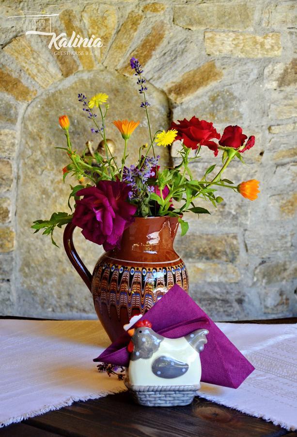 Kalinia Guesthouse B&B โกวาเชวิตซา ภายนอก รูปภาพ