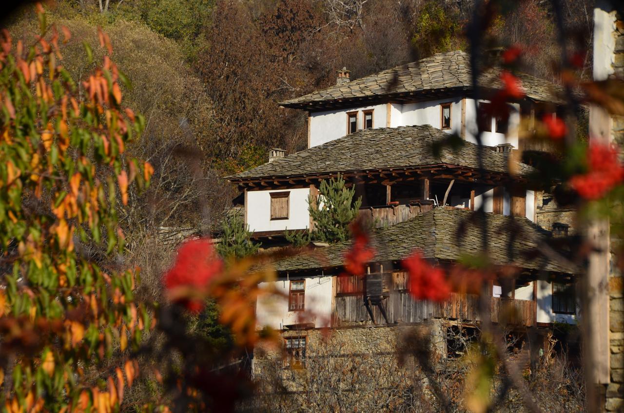Kalinia Guesthouse B&B โกวาเชวิตซา ภายนอก รูปภาพ