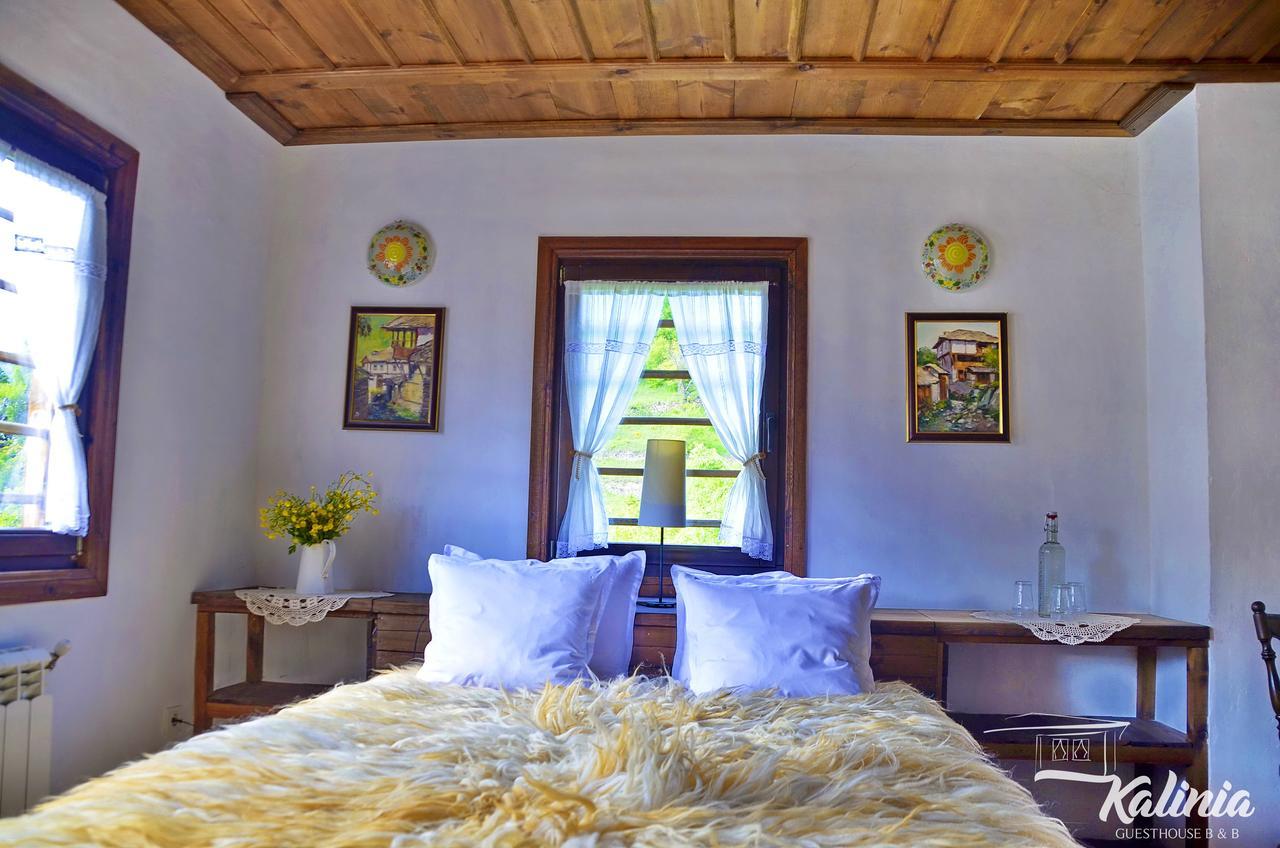 Kalinia Guesthouse B&B โกวาเชวิตซา ภายนอก รูปภาพ