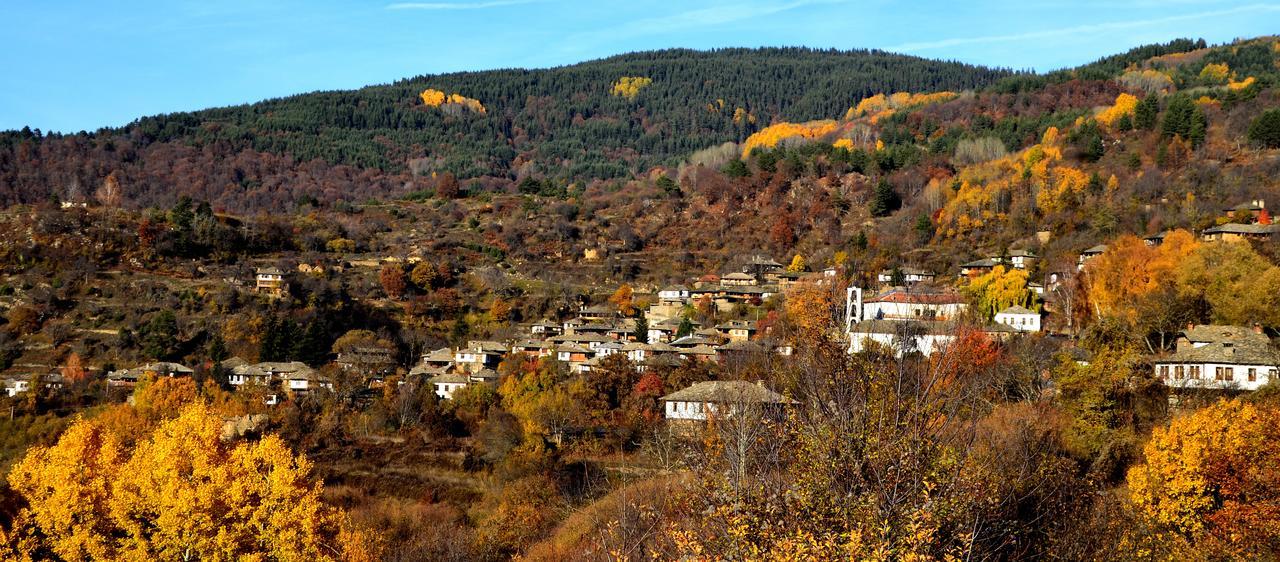 Kalinia Guesthouse B&B โกวาเชวิตซา ภายนอก รูปภาพ