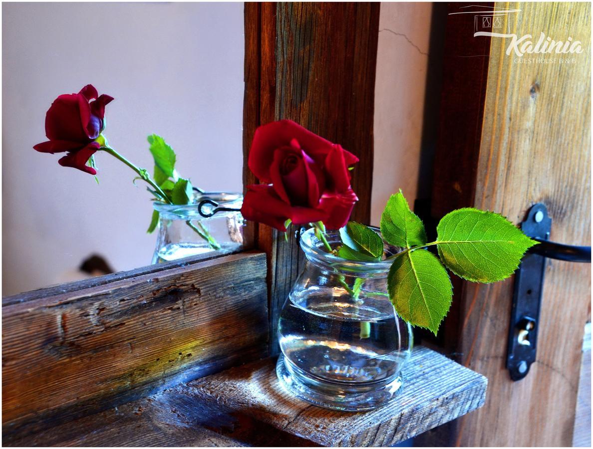 Kalinia Guesthouse B&B โกวาเชวิตซา ภายนอก รูปภาพ