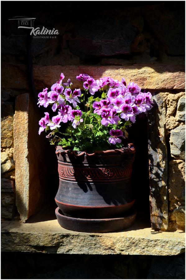 Kalinia Guesthouse B&B โกวาเชวิตซา ภายนอก รูปภาพ