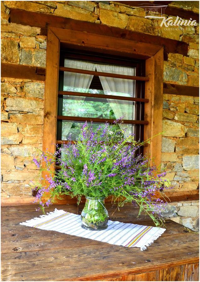 Kalinia Guesthouse B&B โกวาเชวิตซา ภายนอก รูปภาพ